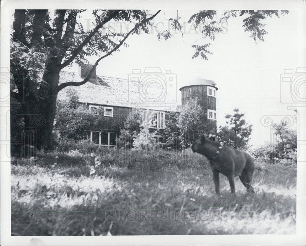 Press Photo The barn at Butternut - Historic Images