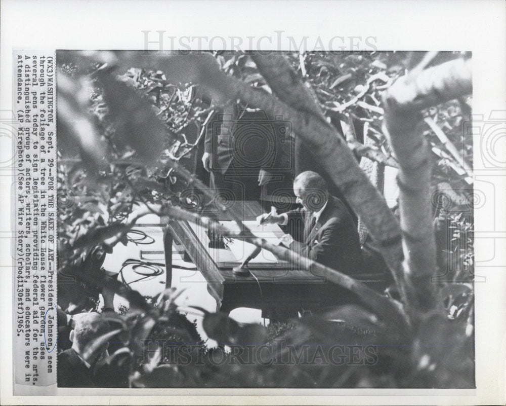 1965 Press Photo President Lyndon B. Johnson - Historic Images