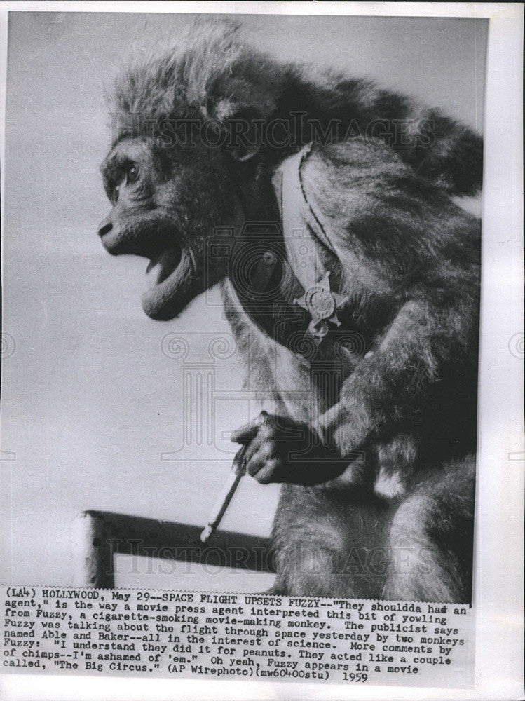 1959 Press Photo space flight upsets Fuzzy, an actor - Historic Images