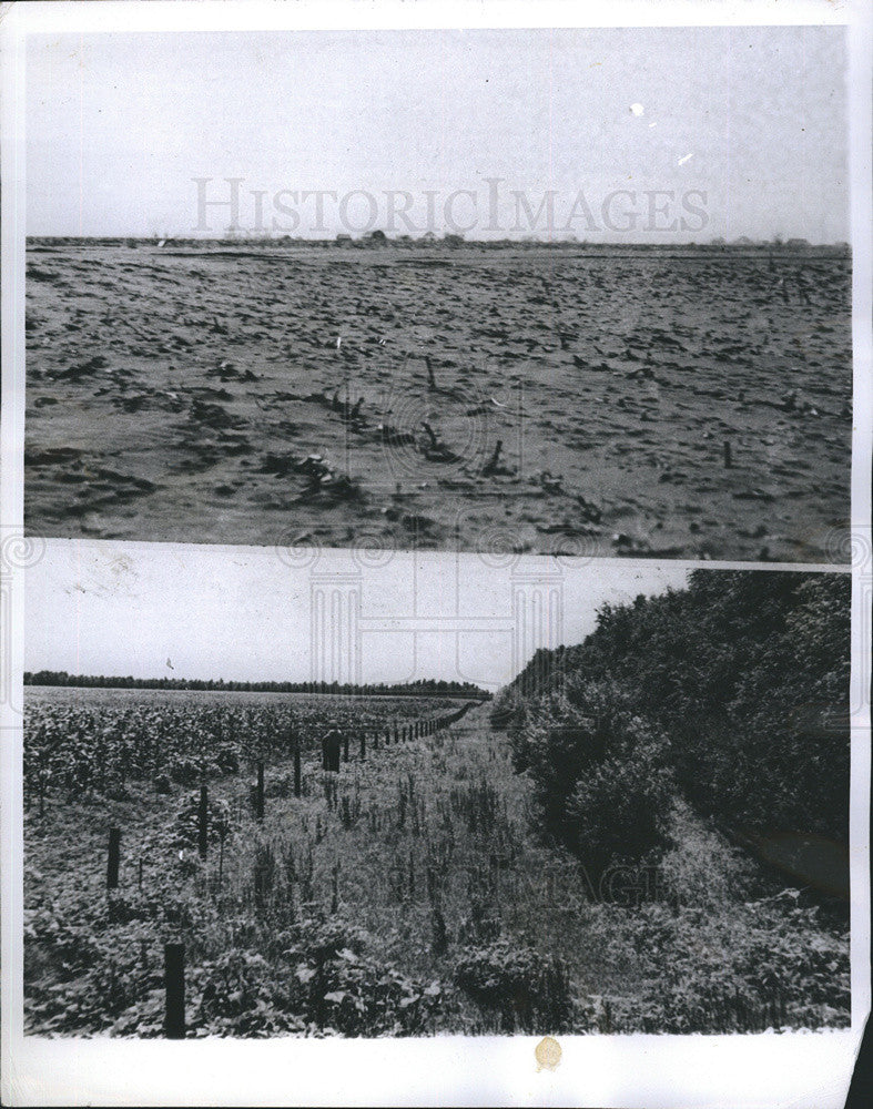 1946 Press Photo The Great Shelbert Project, belt of Tress. - Historic Images