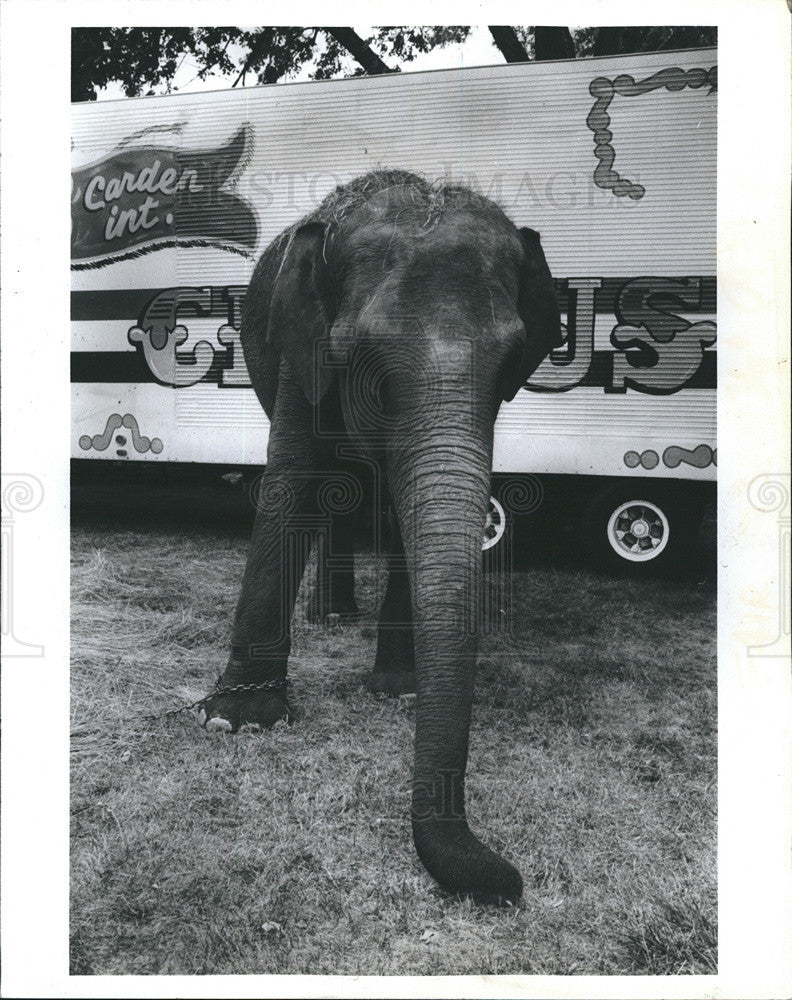 1984 Press Photo Michigan State Fair Elephant - Historic Images