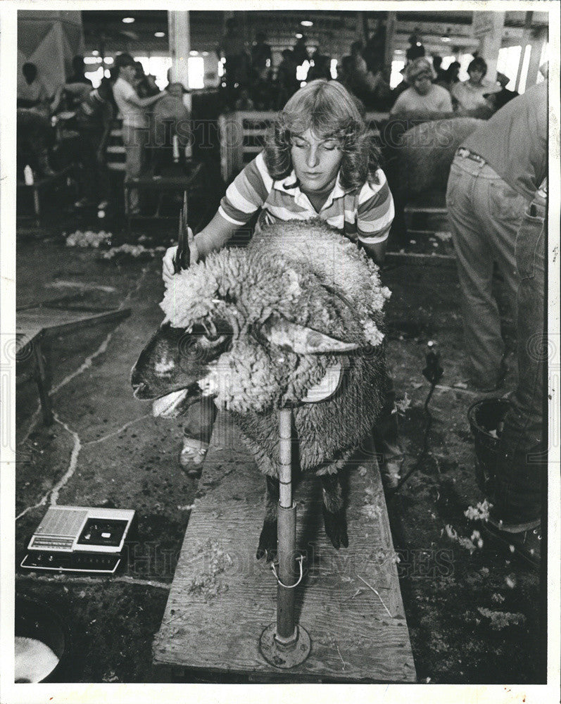 1981 Press Photo Tina Morrison In Michigan St. Fair Youth Sheep Shearing Contest - Historic Images