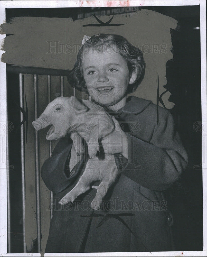 1956 Press Photo Jeanie VanWort Shows Off Newborn Pig In Mich. State Fair - Historic Images