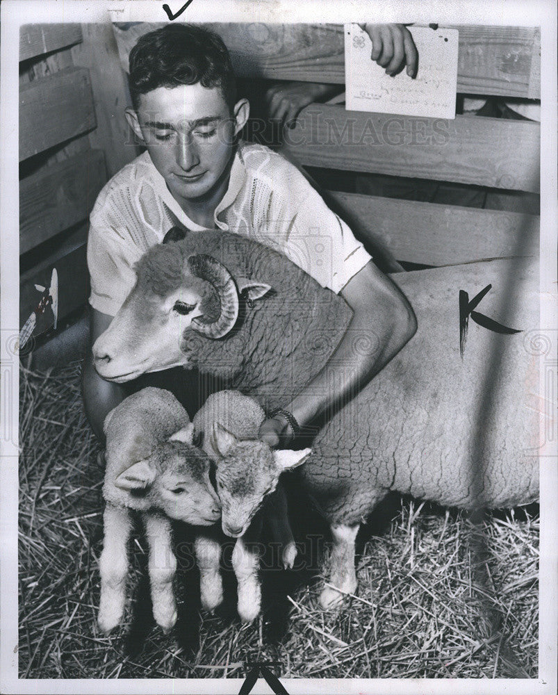 1951 Press Photo Bill Bortle hold new born lambs in Britton, Michigan - Historic Images