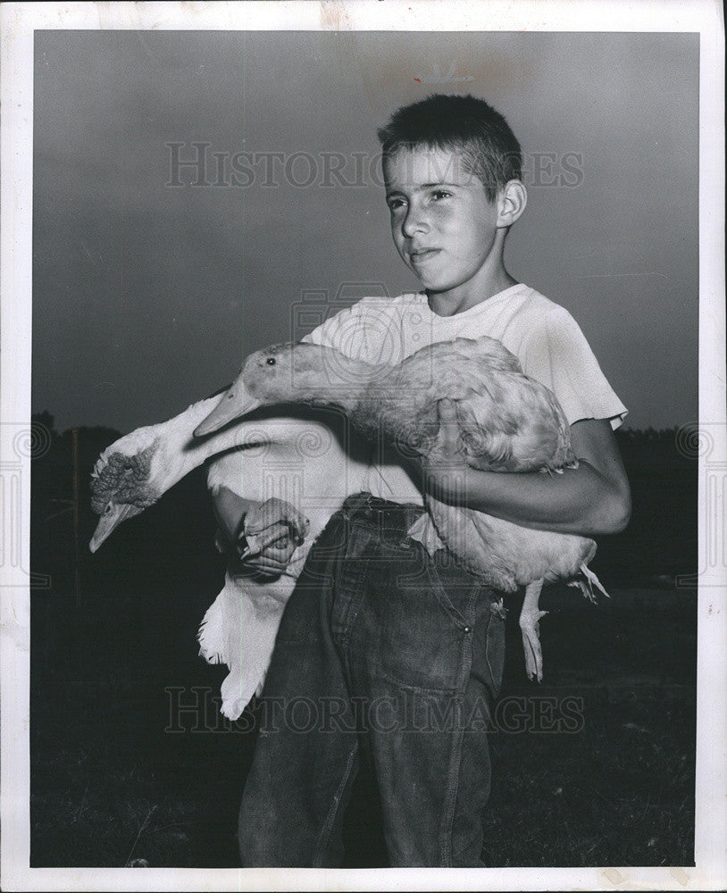 1954 Press Photo J.E. Simpson with two ducks at St. Fair, Michigan - Historic Images