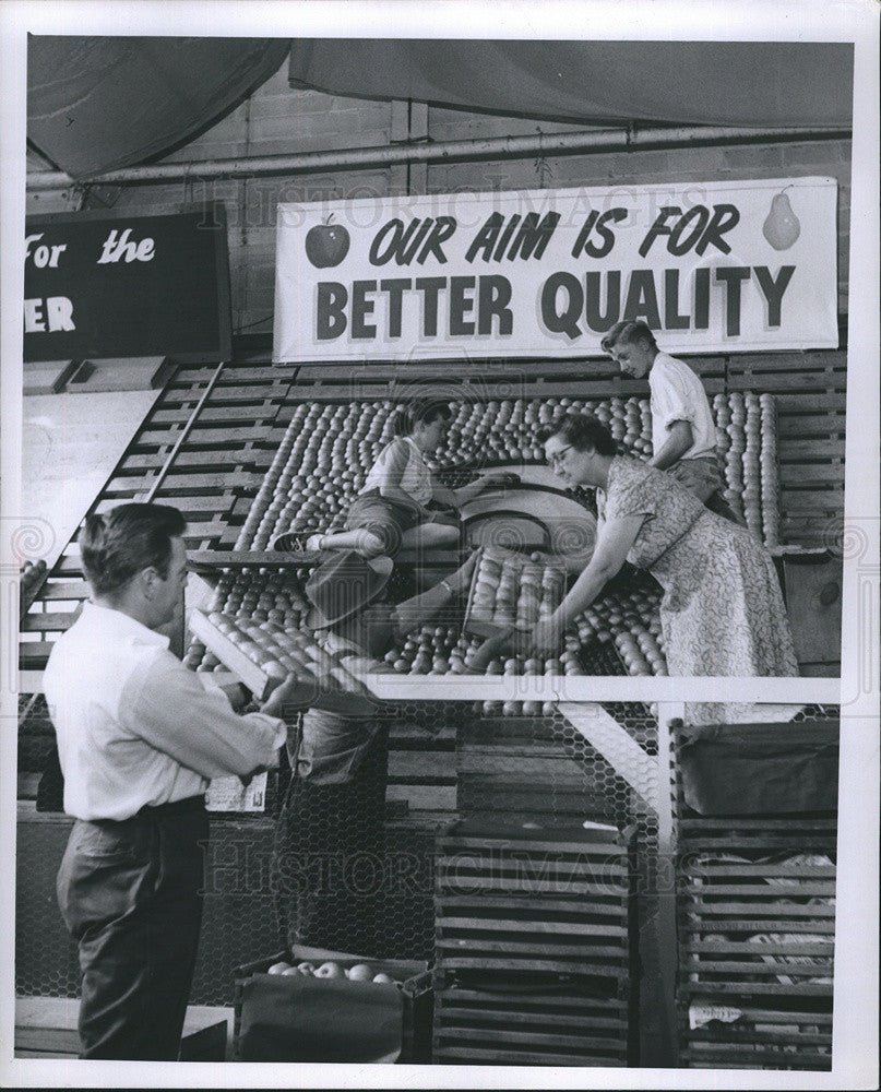 1958 Press Photo Ralph Foreman, wife and son constructing display - Historic Images