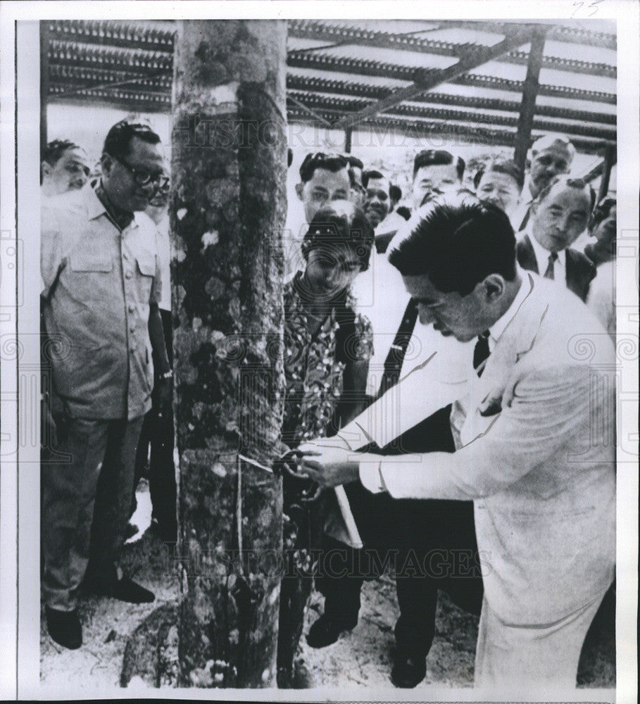 1970 Press Photo Crown Prince Akihito trying to tap a rubber tree - Historic Images