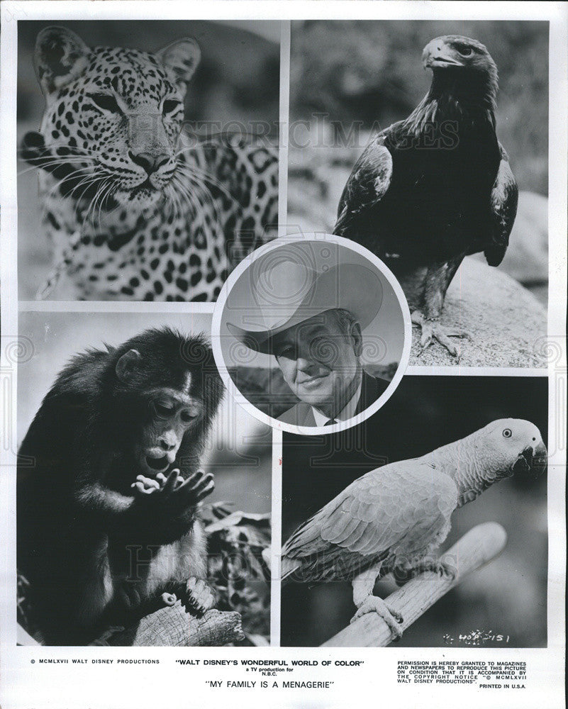 1968 Press Photo Rex Allen narrates &quot;My Family is a Menagerie&quot; shown on NBC - Historic Images