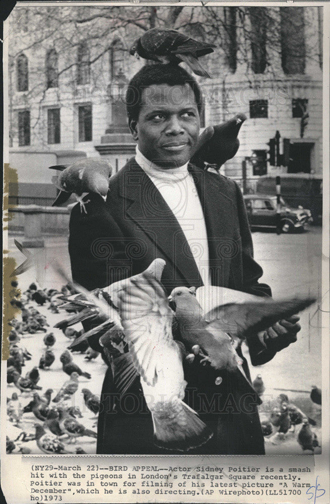 1973 Press Photo Sidney Poitier Actor Director Warm December Filming Pigeons - Historic Images