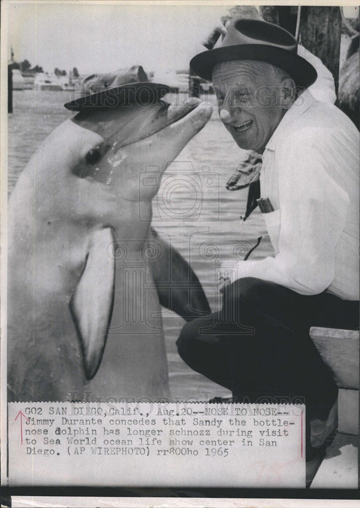 1965 Press Photo Comedian Jimmy Durante Touches Noses With Sandy The Dolphin - Historic Images