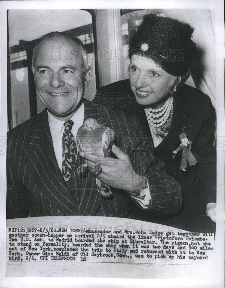 1960 Press Photo Ambassador, Mrs John Lodge - Historic Images