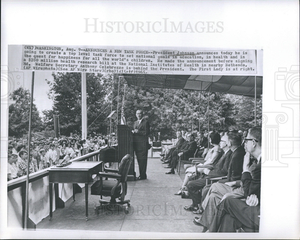 1965 Press Photo President Johnson Giving Speech - Historic Images