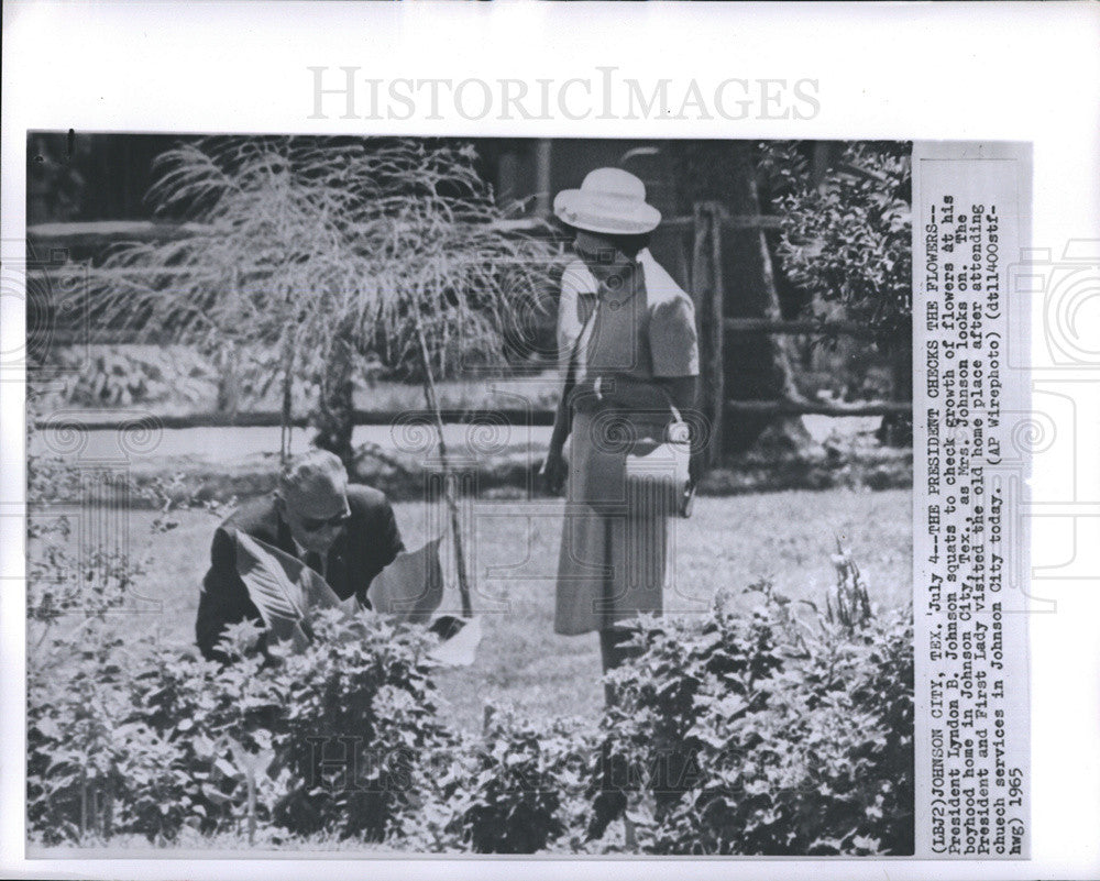 1965 Press Photo Pres Johnson Checks on his Flowers - Historic Images