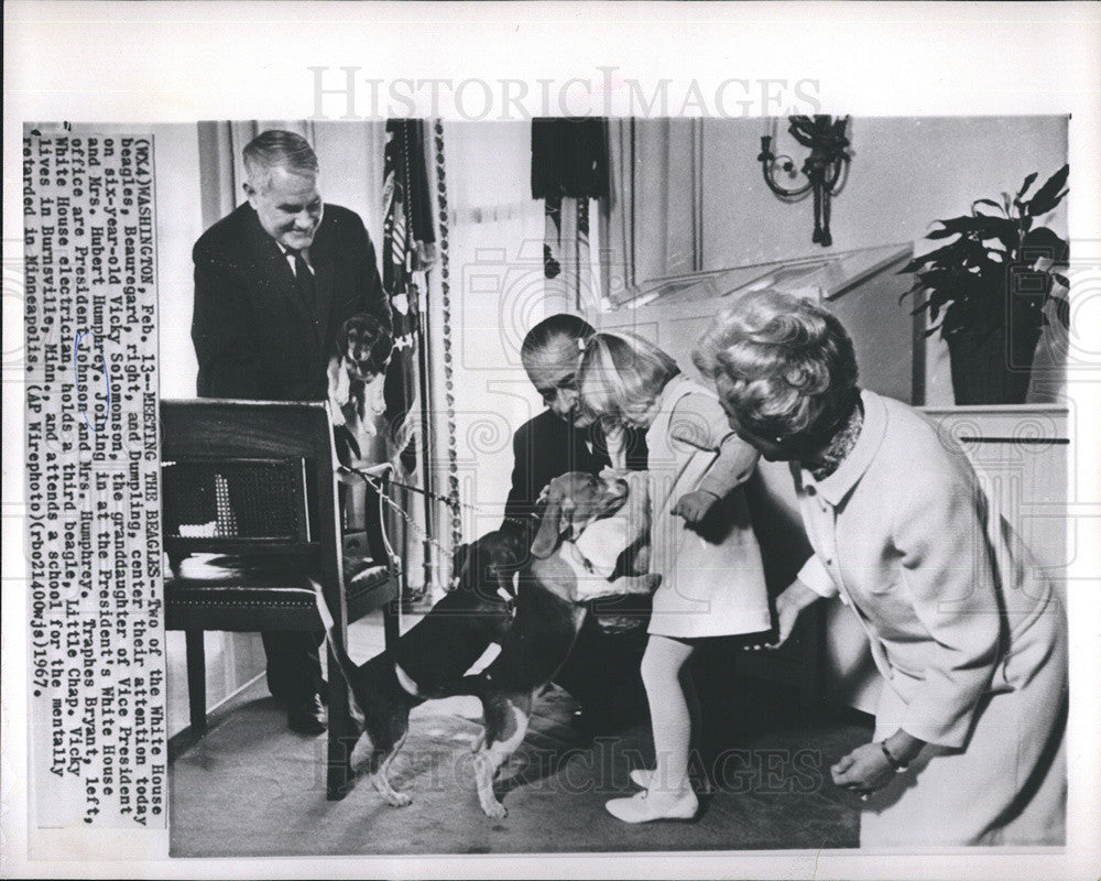 1967 Press Photo Pres. Johnson&#39;s Beagles with VP Humphrey&#39;s Granddaughter - Historic Images