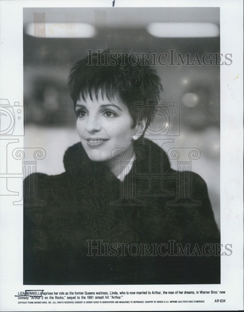 1988 Press Photo Liza Minnelli in &quot;Arthur&quot; - Historic Images