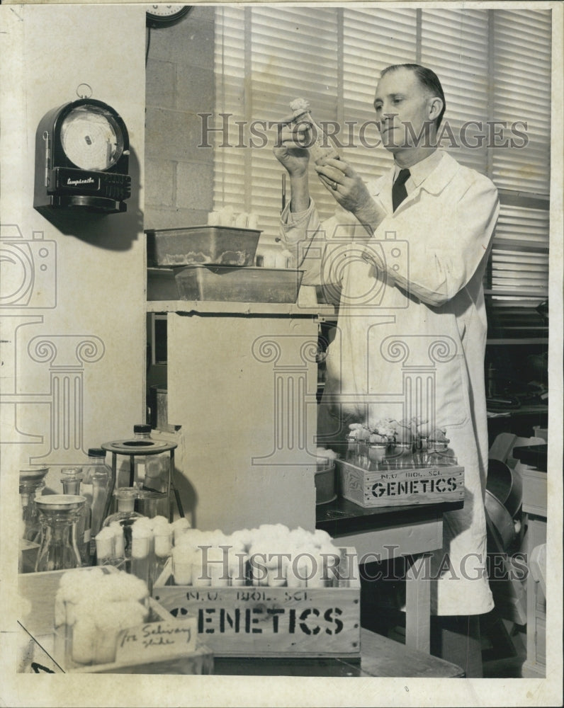 1955 Biology Professor George Mickey Inspecting Slide Cresap Lab - Historic Images