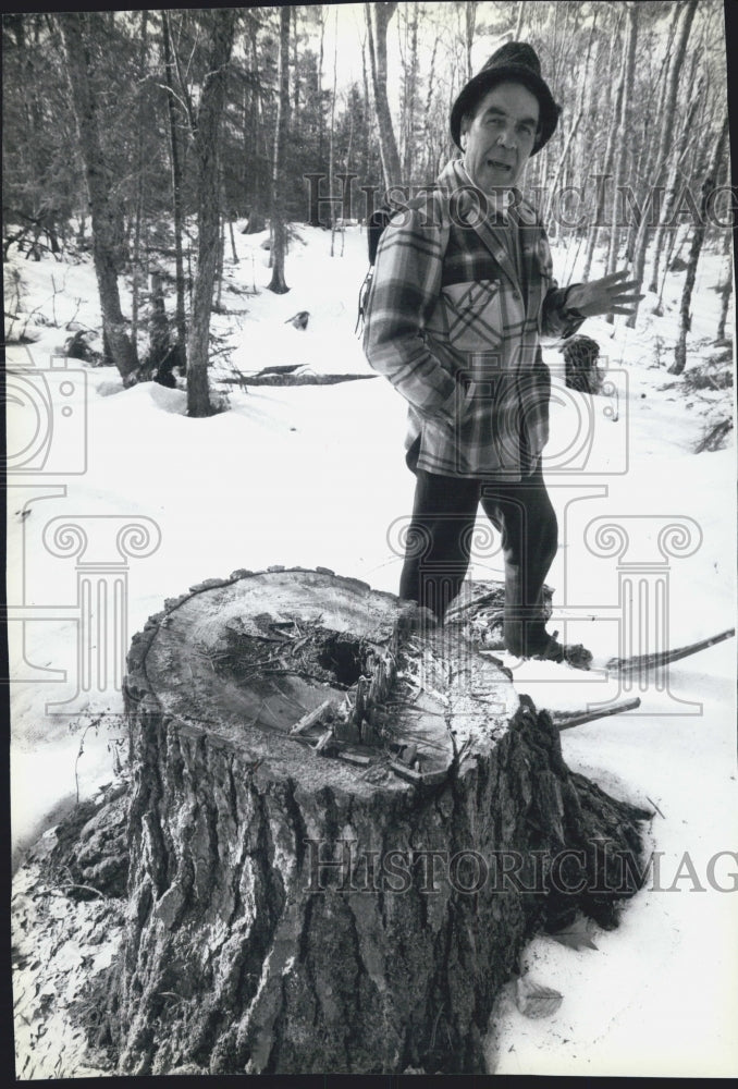 1989 Press Photo Naturlist Jim Brooks examines pine Tree - Historic Images