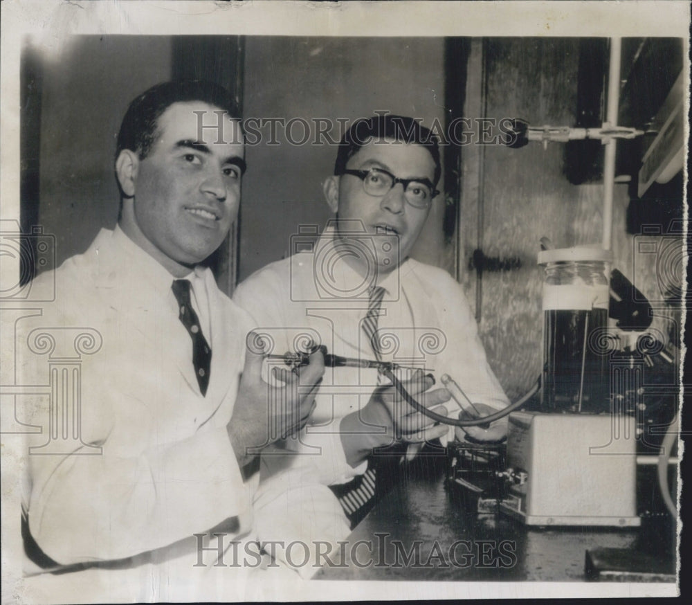 1955 Polio Test Immunity Creators Murray Lipton Alex Steigman - Historic Images