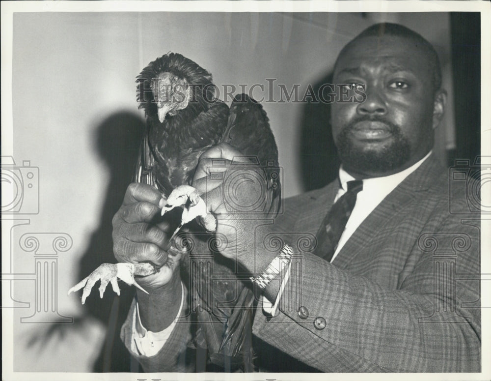 1965 Press Photo Detective Nedrick Miller holding a winning cock after raid - Historic Images