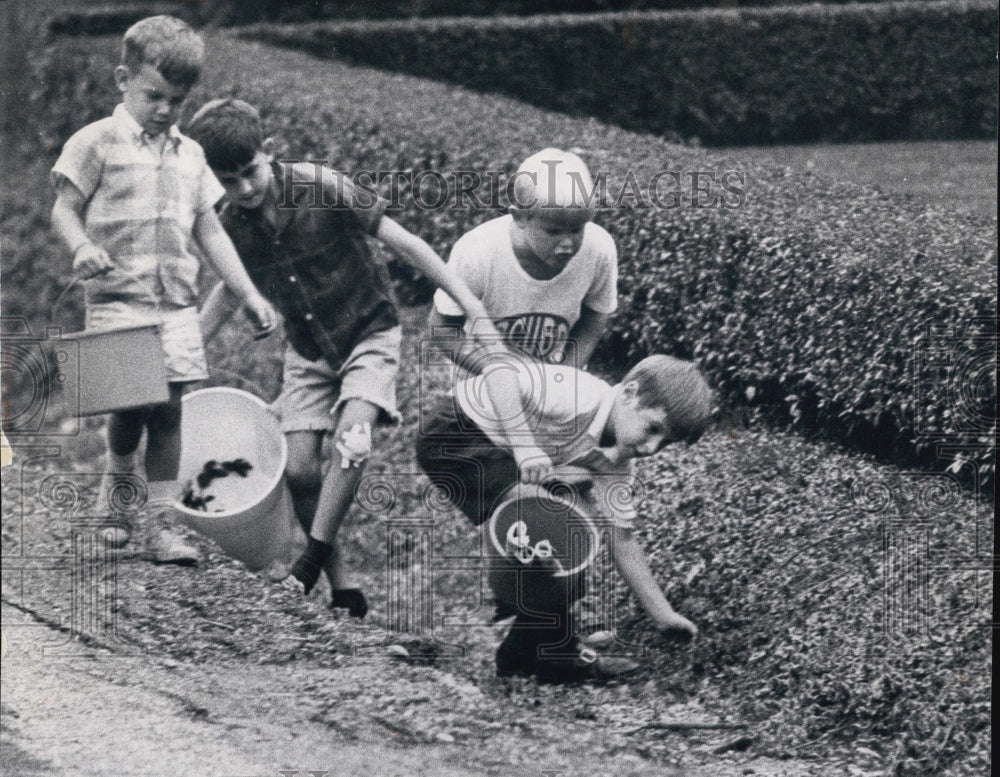 1971 Press Photo of children cleaning litter from roadside in Elmhurst IL - Historic Images