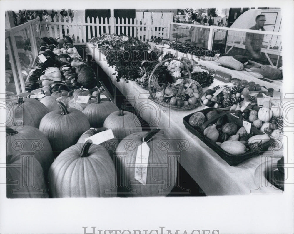 1970 Michigan State Fair. Vegetables Displays - Historic Images