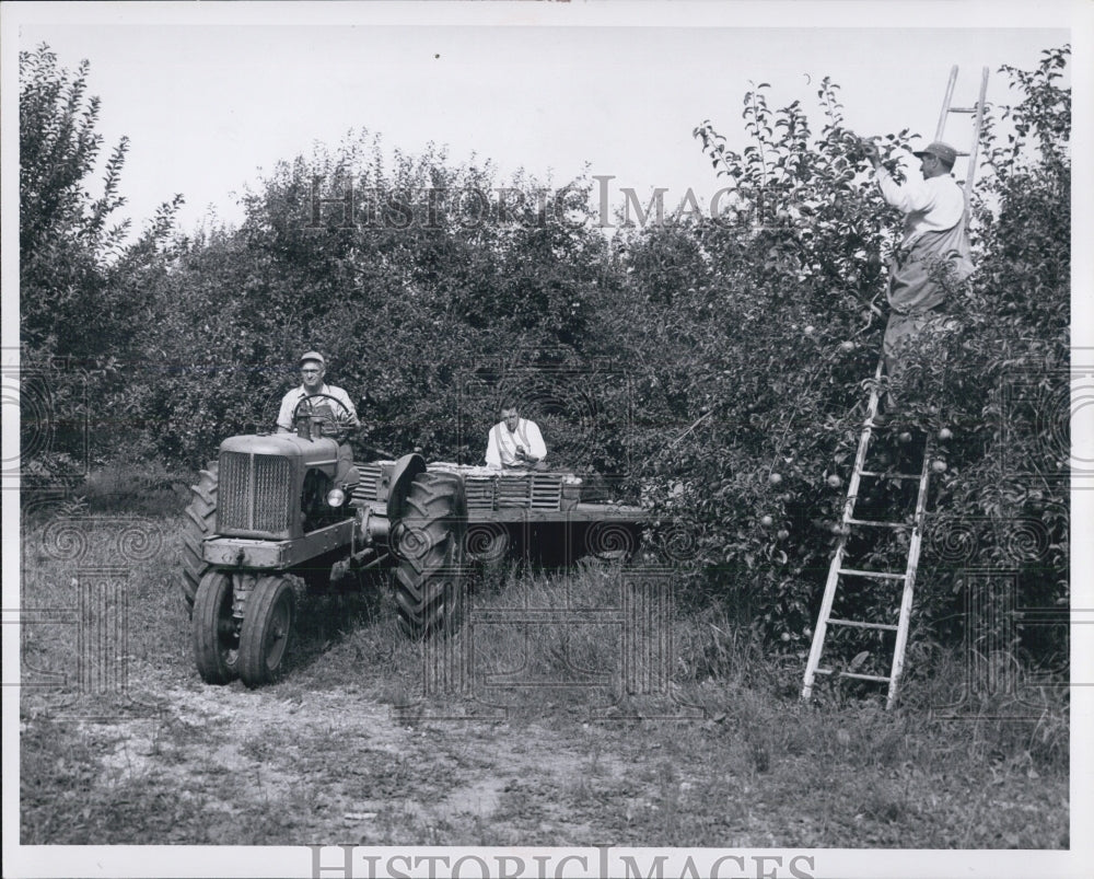 1958 Fruits is hauled from the foreman orchard, Michigan State fair. - Historic Images