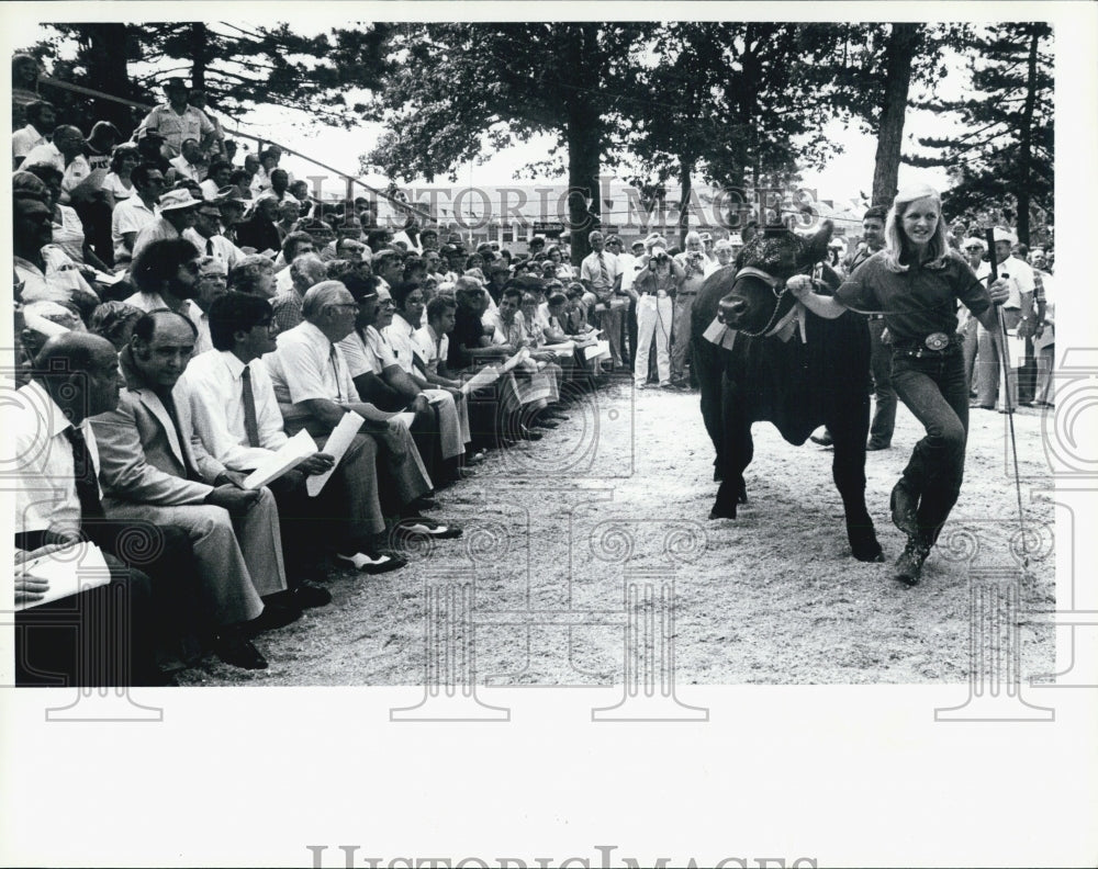 1960 Grand Champion Steer at Michigan State Fair - Historic Images