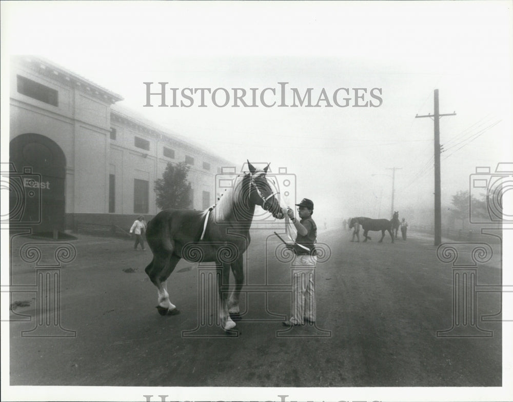 1987 Press Photo Michigan State Fair - Historic Images