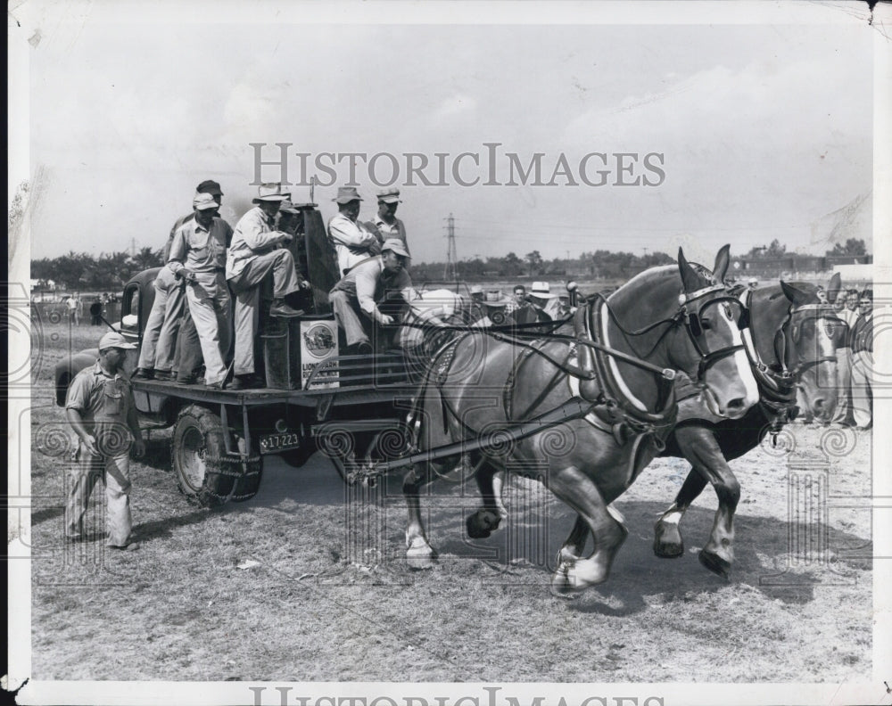 1951  Michigan State Fair Horses - Historic Images