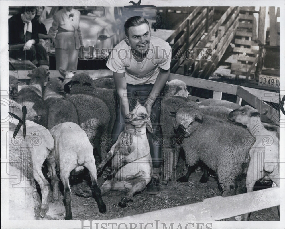 1952  Michigan State Fair Livestock - Historic Images