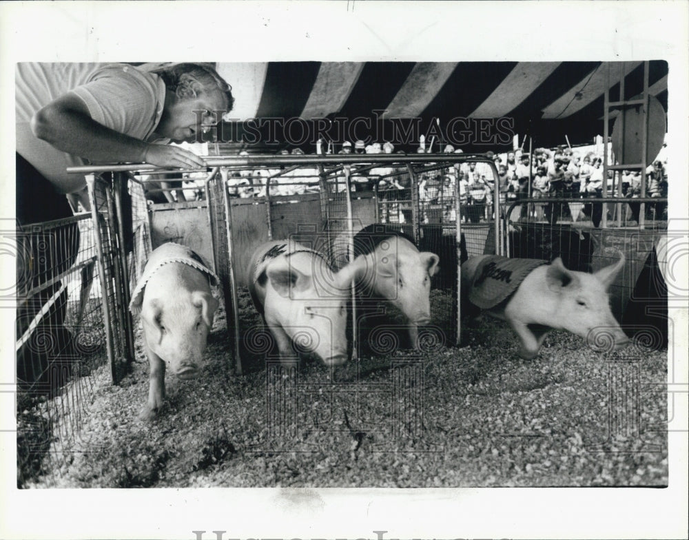 1985 Press Photo Michigan State Fair Livestock - Historic Images