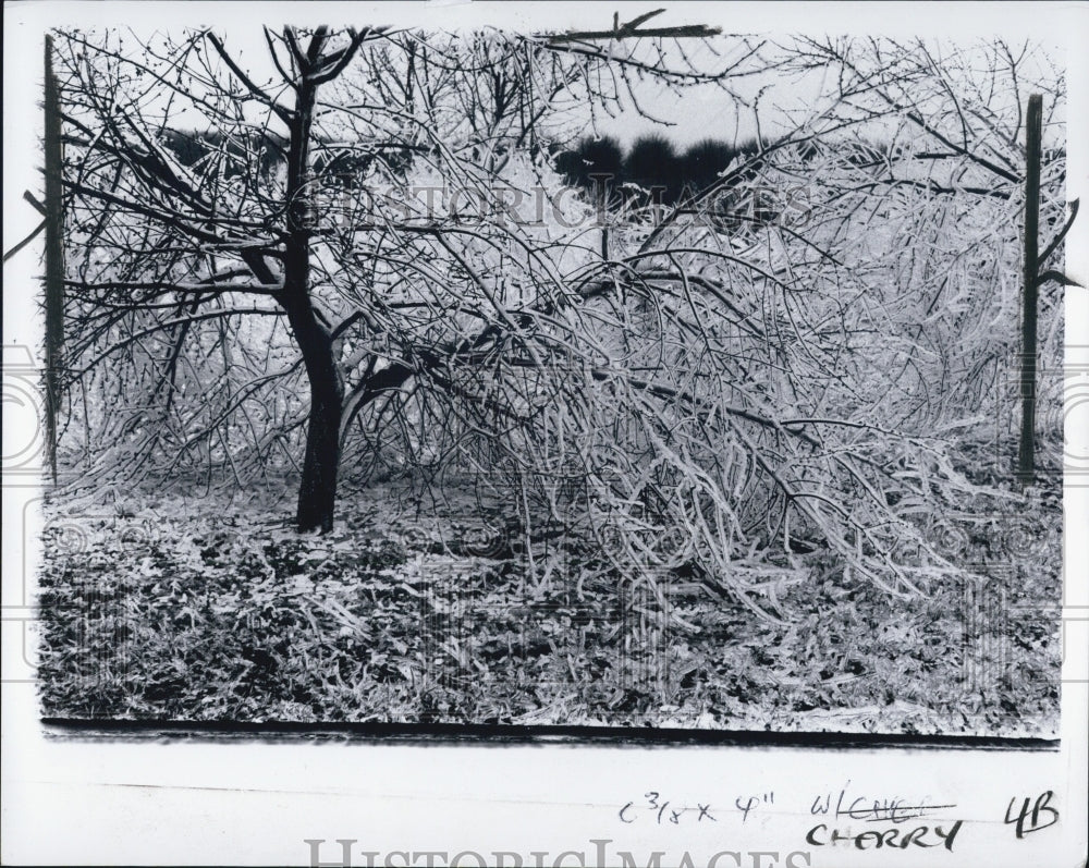 1979 Press Photo Ice storm Michigan - Historic Images