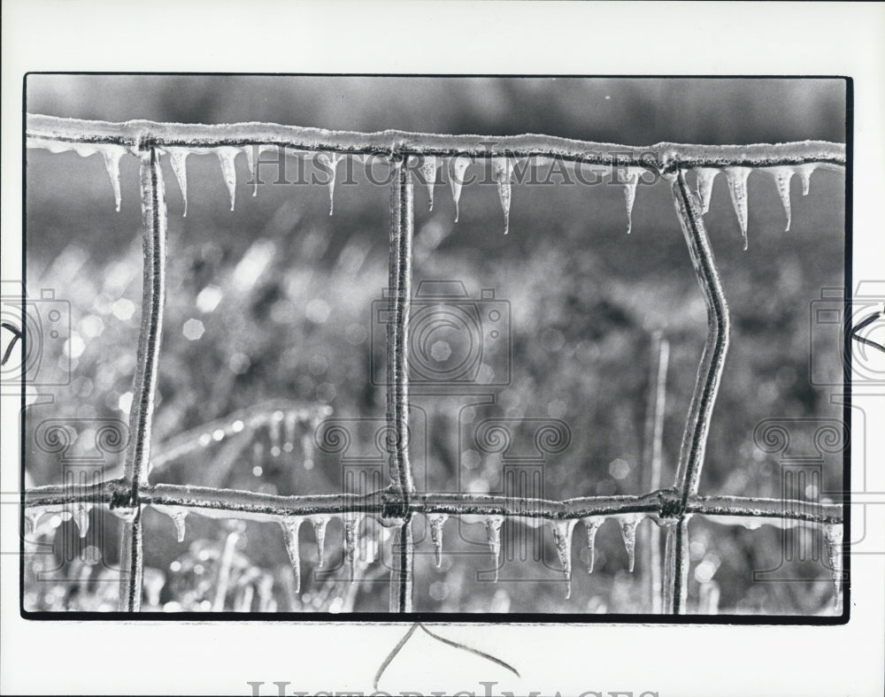 1985 Press Photo Ice formation Ice-cycles on fence in Michigan - Historic Images