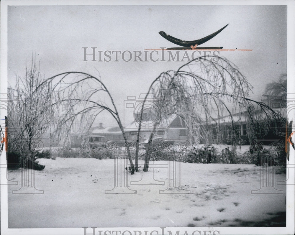 1959 Ice Storm in Michigan with leaning tree - Historic Images