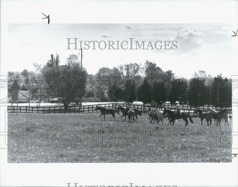 1993 Press Photo Goodrich Michigan - Historic Images