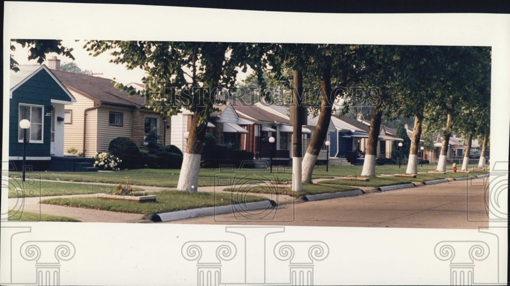 1987 Press Photo Dog Leg neighborhood houses Detroit - Historic Images