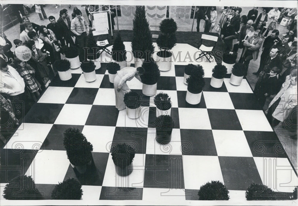 1970 Chessman Sculpted From Evergreens/Betty Mae Jelen/Gary Britt - Historic Images