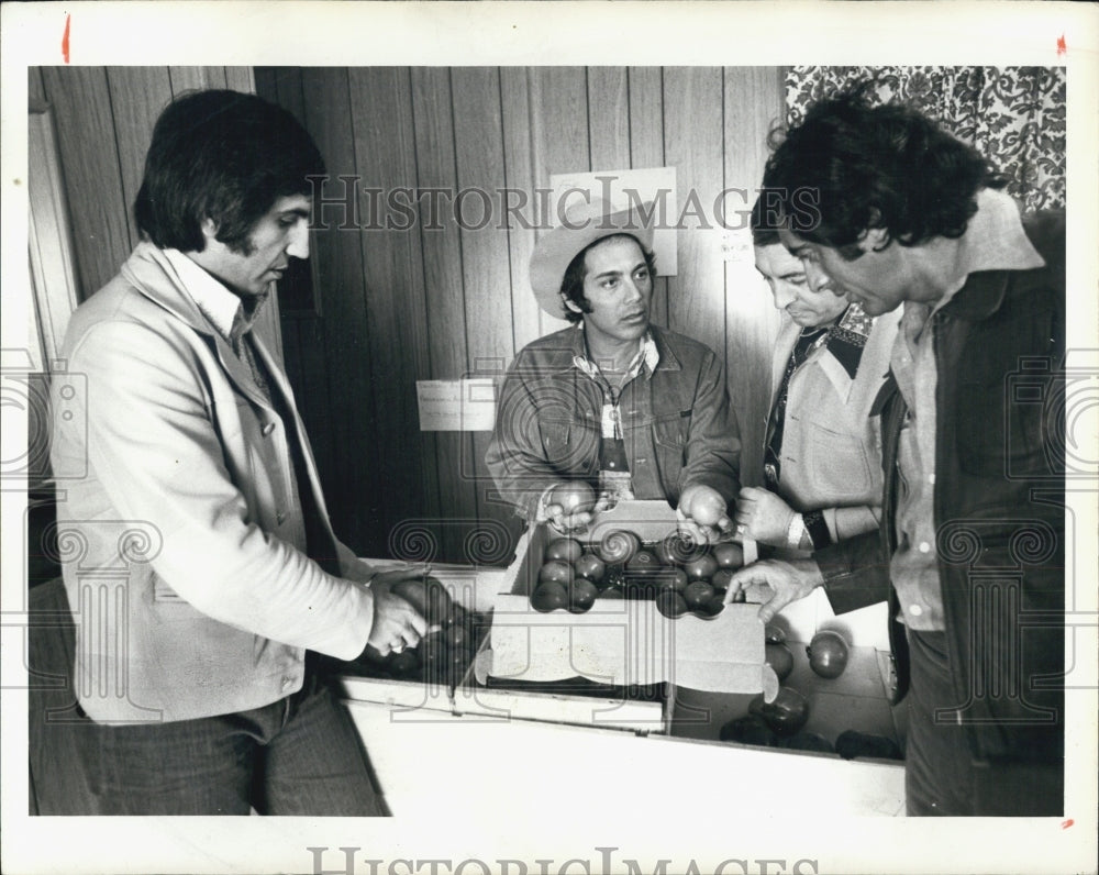 1975 Anka gives pitch of Tomatoes to Las Vegas Supermarket Customer. - Historic Images