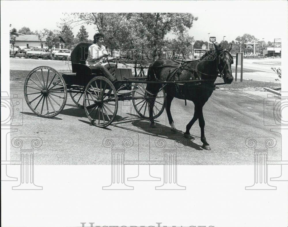 1987 Press Photo April Thomas horse Sam home Shady HIlls carriage - Historic Images