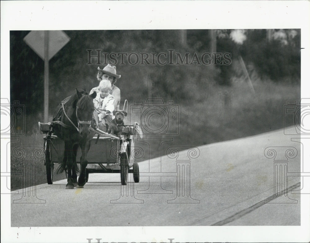 1980 Press Photo Jeanette Williams takes horse and buggy to work. - Historic Images