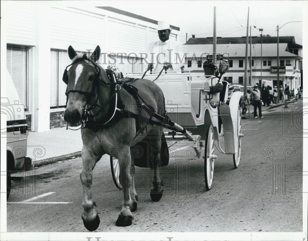 1988 Press Photo carriage rides The Pier - Historic Images