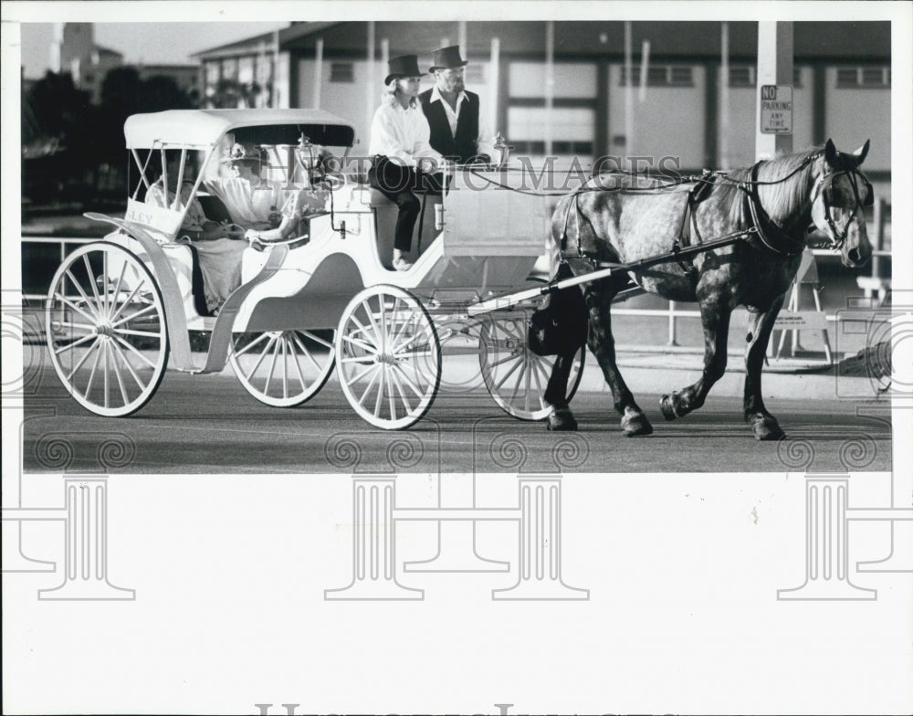 1988 Press Photo carriage ride Bayshore Drive Cowford Carriage Service Mary Ruth - Historic Images