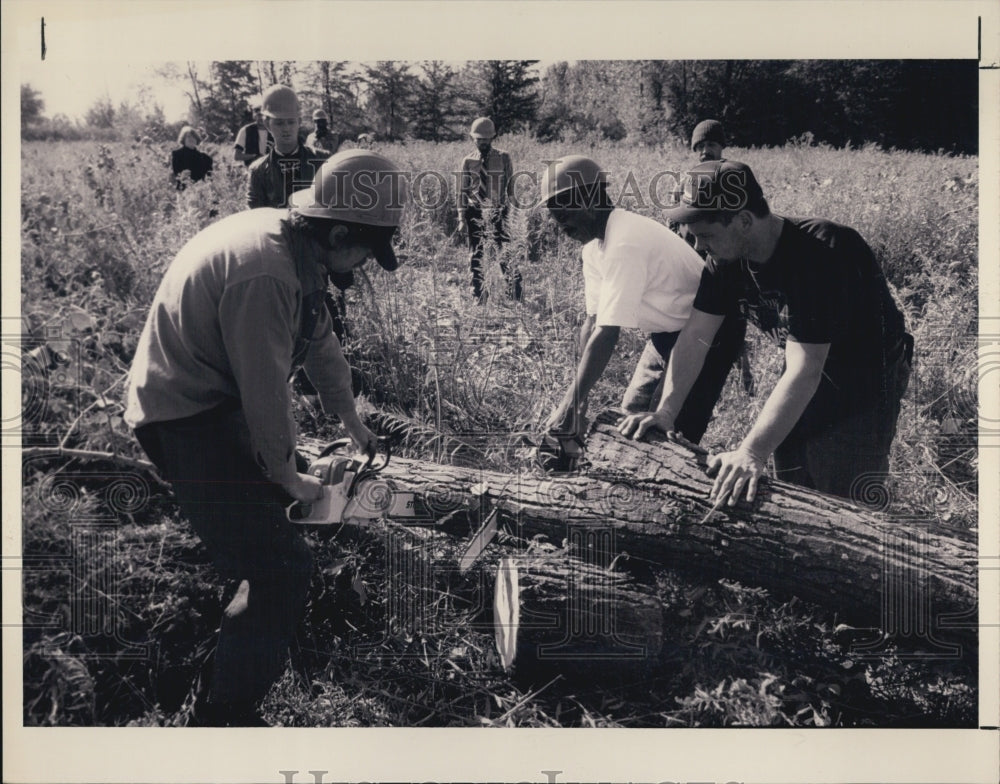 1993 Press Photo Crew cutting up trees to make new housing in Michigan - Historic Images