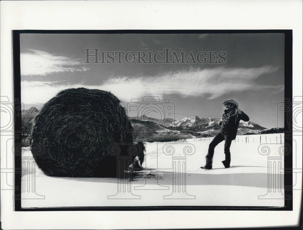 1987 Press Photo Mark Nichols Hay Bale To Feed 1000 Cows At Ralph Lauren Farm - Historic Images