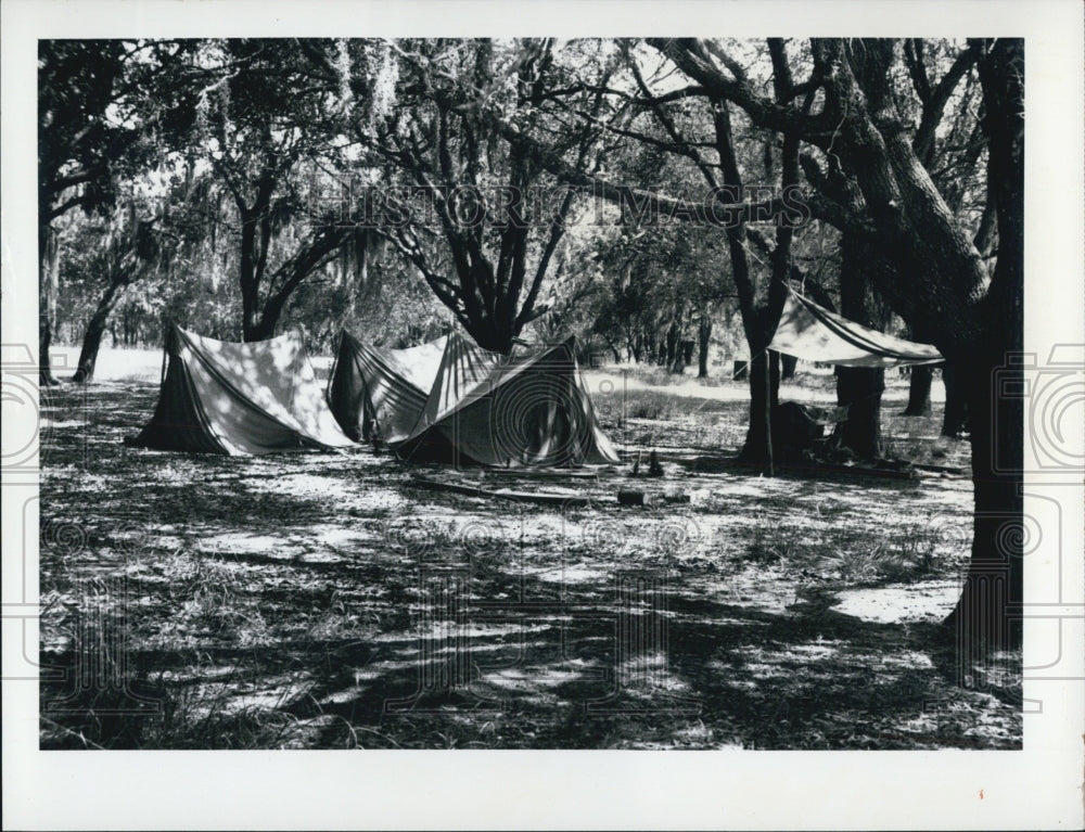 1975 Girl Scout Tents Set Up Under Oaks at Citrus Hunt Camp FL - Historic Images