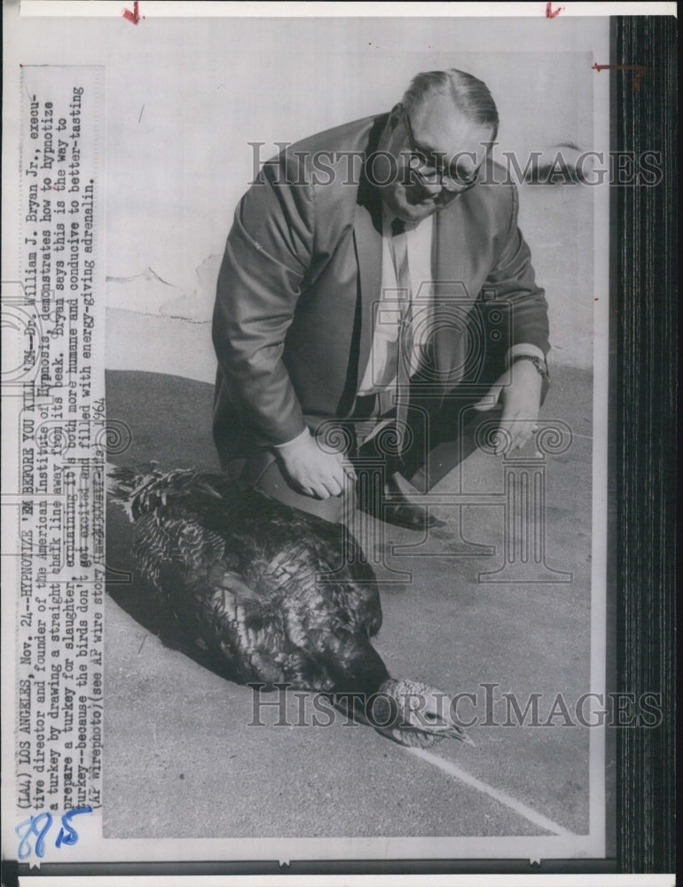 1964 Press Photo Dr. William Bryan., Jr. hypnotizes a turkey. - Historic Images