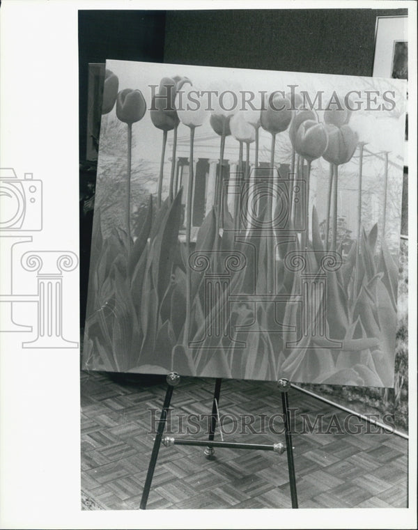 1985 Washington Spring by Dan Stack - Historic Images