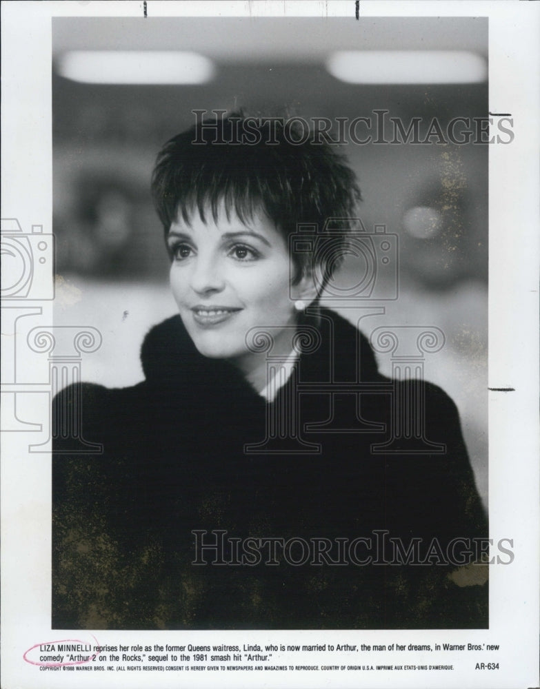 1989 Press Photo Liza Minnelli Actress Singer Arthur 2 on the Rocks - Historic Images