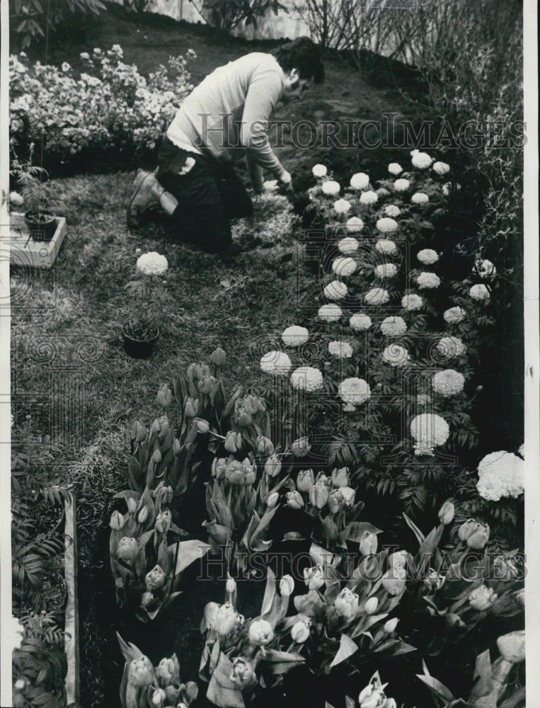 1972 Roti Chicago Park District Display at World Flower  Garden Show - Historic Images