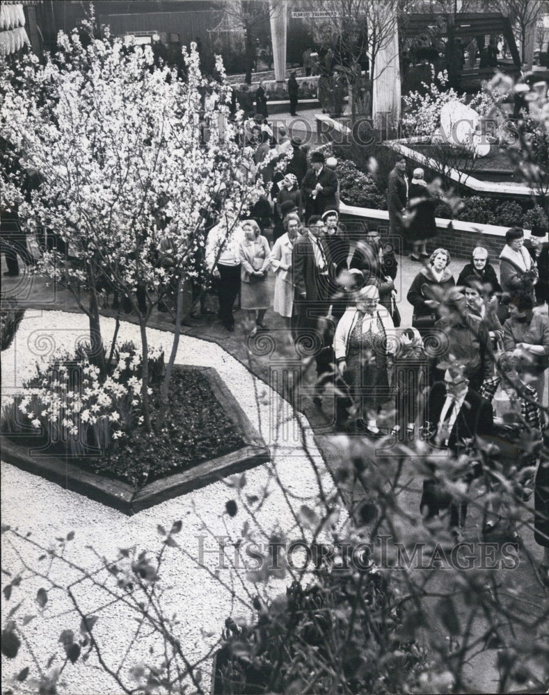 1967 Chicago World Flower and Garden Show Opening - Historic Images